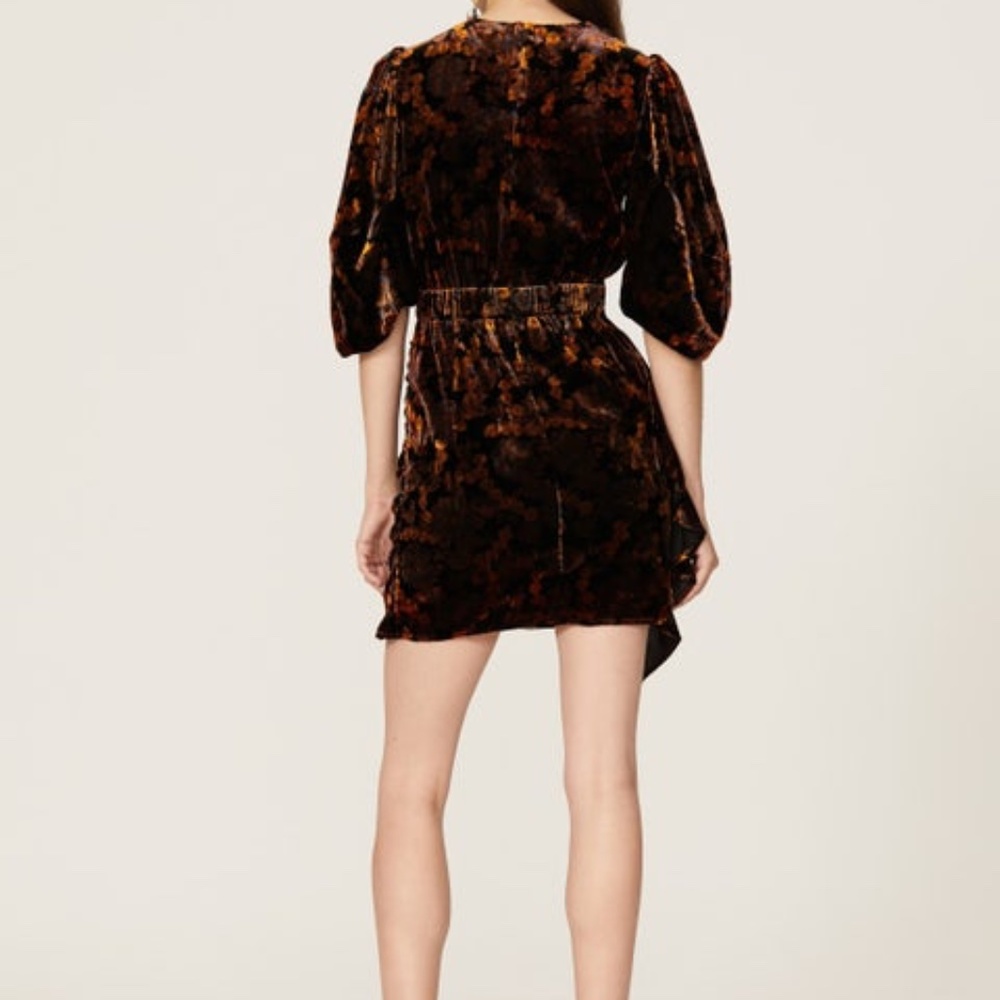 RHODE Pia Velvet Dress, 6 - Picture 3 of 15